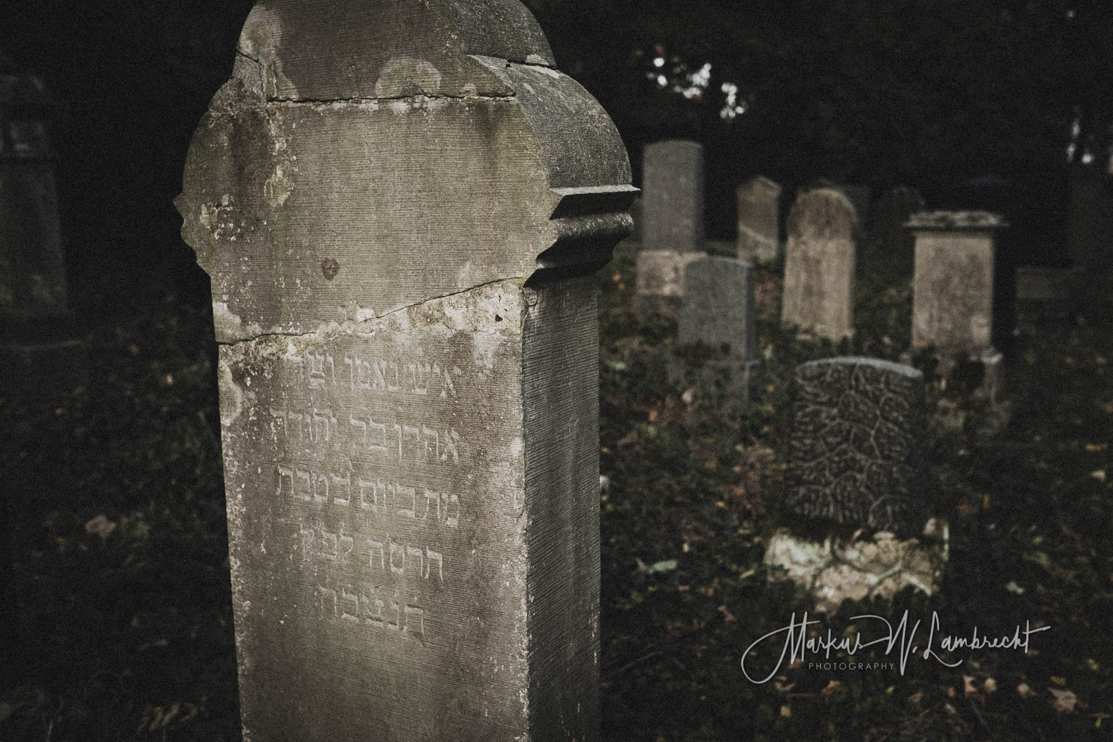 Steinheim (Westfalen), Jüdischer Friedhof